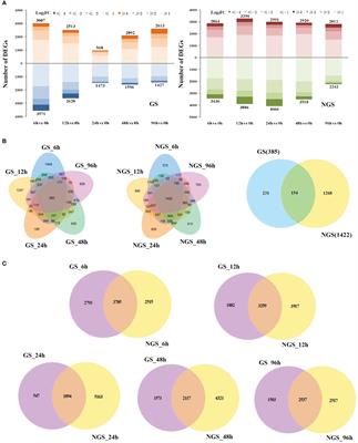 Transcriptome analysis showed that tomato-rootstock enhanced salt tolerance of grafted seedlings was accompanied by multiple metabolic processes and gene differences
